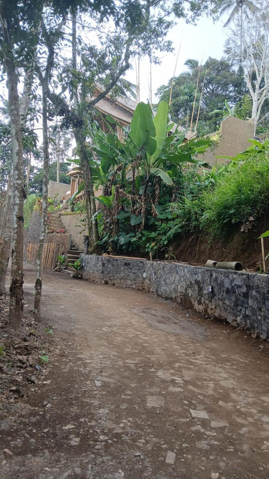 Vila Danaswari Bali Bamboo House Selat Exteriér fotografie